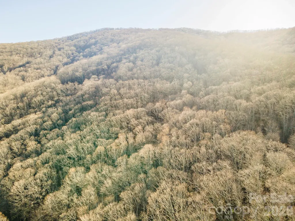 00 Wildflower Cove Road Swannanoa NC 28778