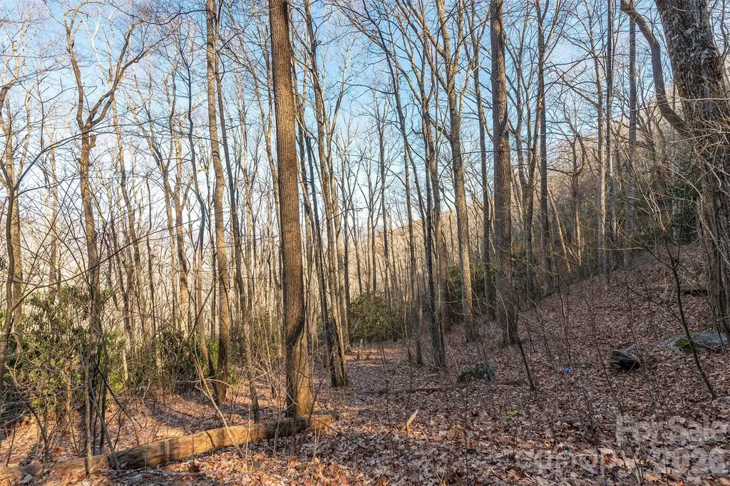 00 Wildflower Cove Road Swannanoa NC 28778