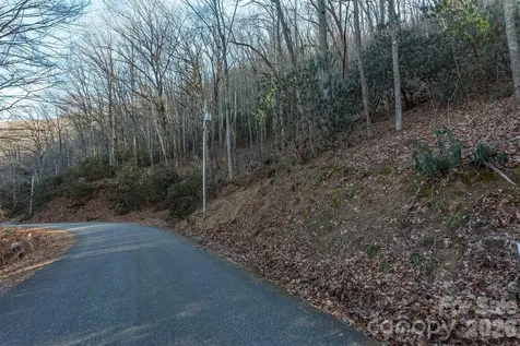 00 Wildflower Cove Road Swannanoa NC 28778