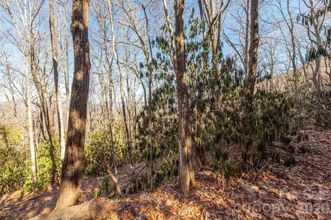 00 Wildflower Cove Road Swannanoa NC 28778