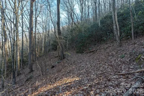 00 Wildflower Cove Road Swannanoa NC 28778