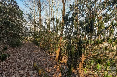 00 Wildflower Cove Road Swannanoa NC 28778