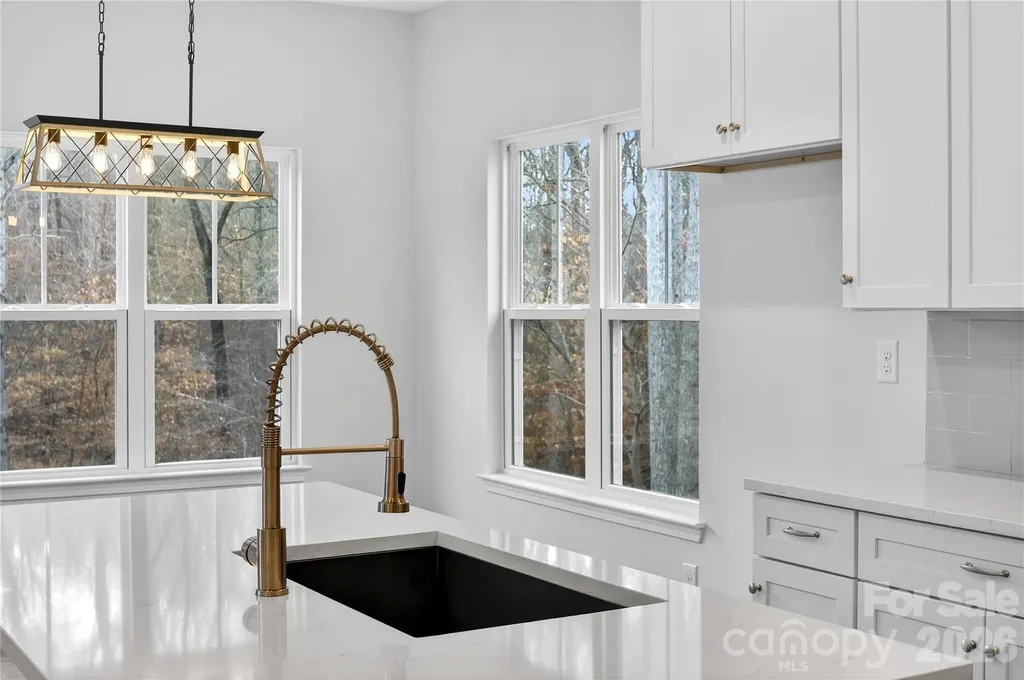 229 Shenandoah Loop Troutman NC 28166