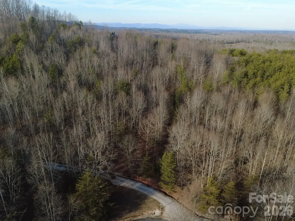 Lot 23 & 24 Double Eagle Drive Nebo NC 28761