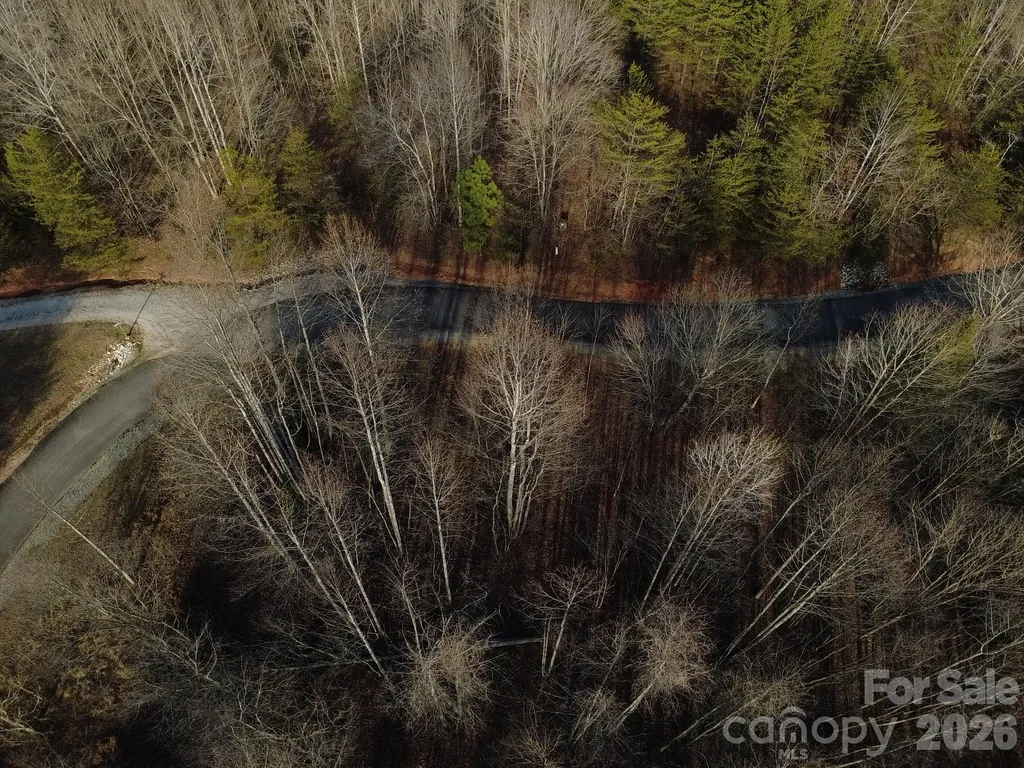 Lot 23 & 24 Double Eagle Drive Nebo NC 28761