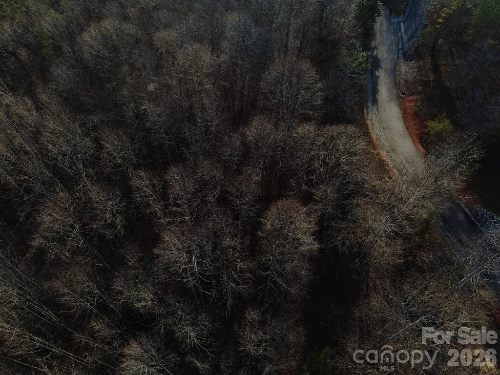 Lot 23 & 24 Double Eagle Drive Nebo NC 28761