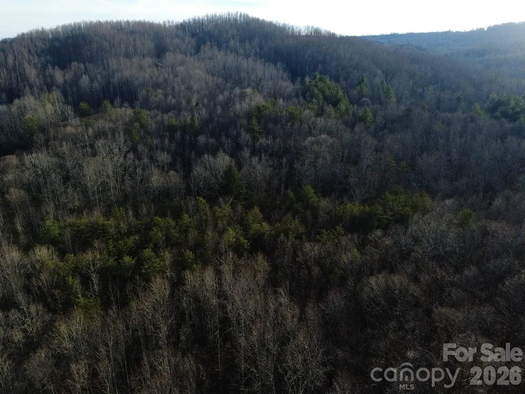 Lot 23 & 24 Double Eagle Drive Nebo NC 28761