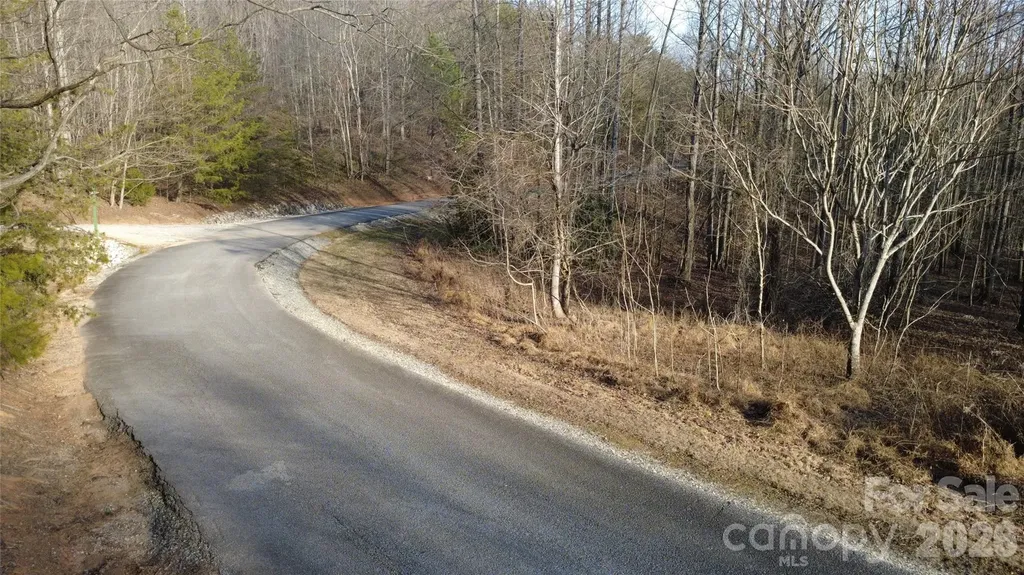Lot 23 & 24 Double Eagle Drive Nebo NC 28761