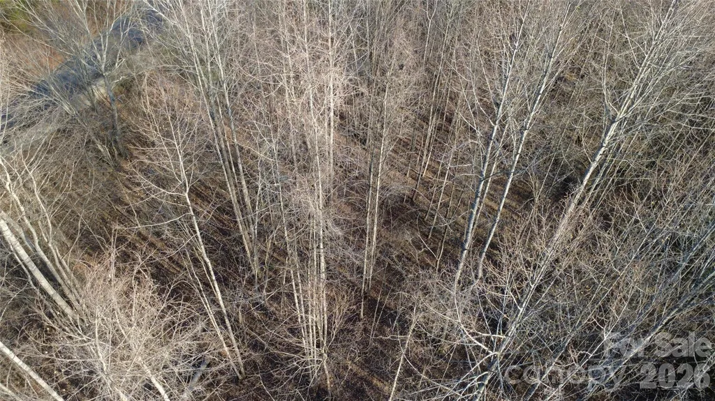Lot 23 & 24 Double Eagle Drive Nebo NC 28761