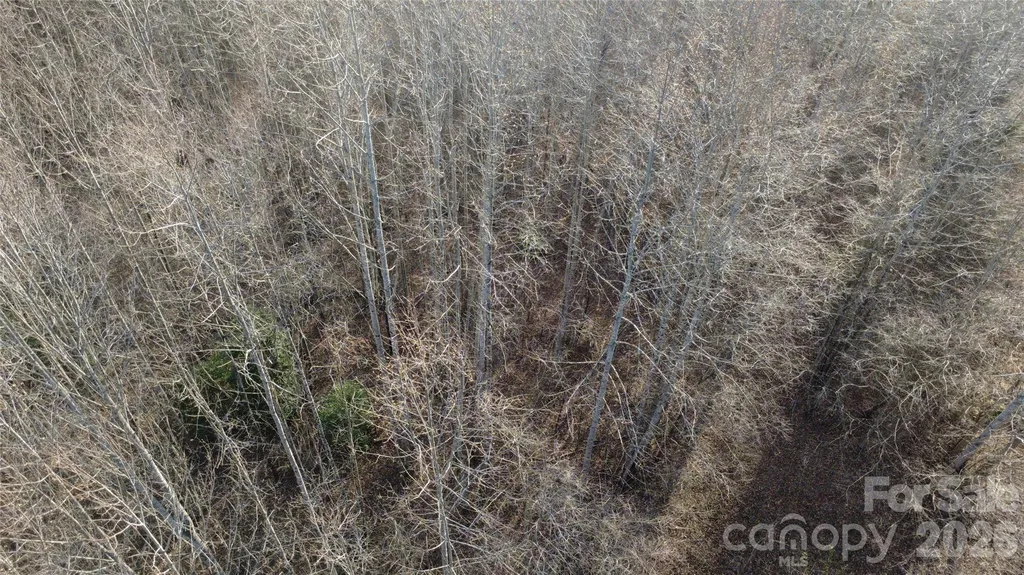 Lot 23 & 24 Double Eagle Drive Nebo NC 28761