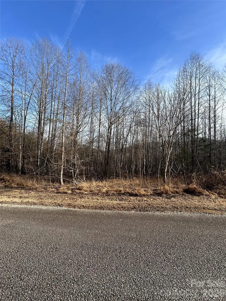 Lot 23 & 24 Double Eagle Drive Nebo NC 28761