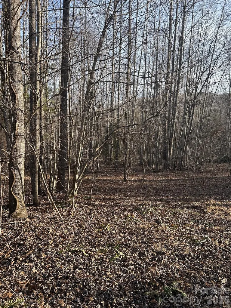 Lot 23 & 24 Double Eagle Drive Nebo NC 28761