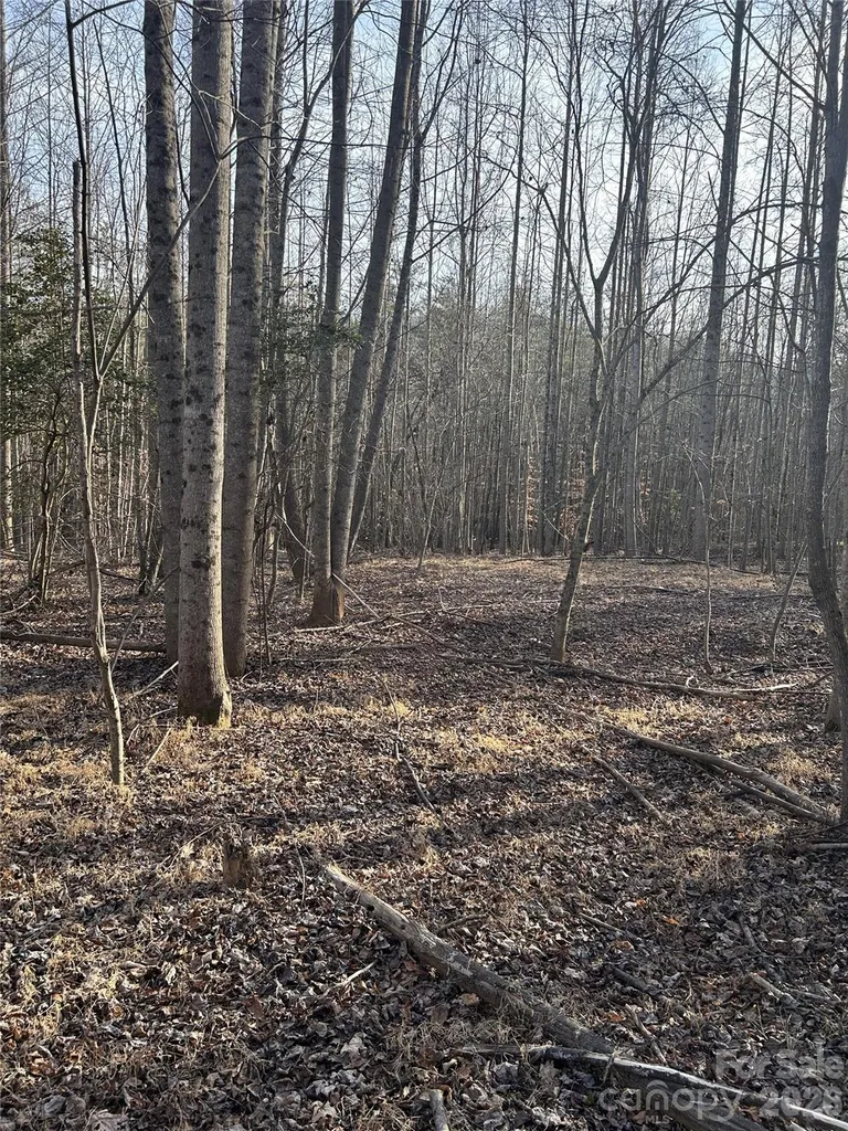 Lot 23 & 24 Double Eagle Drive Nebo NC 28761