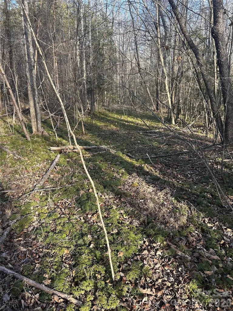 Lot 23 & 24 Double Eagle Drive Nebo NC 28761
