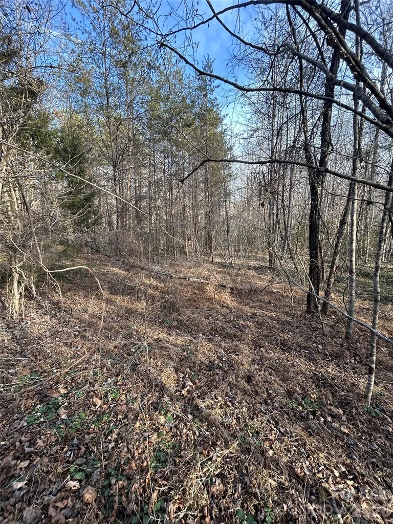 Lot 23 & 24 Double Eagle Drive Nebo NC 28761