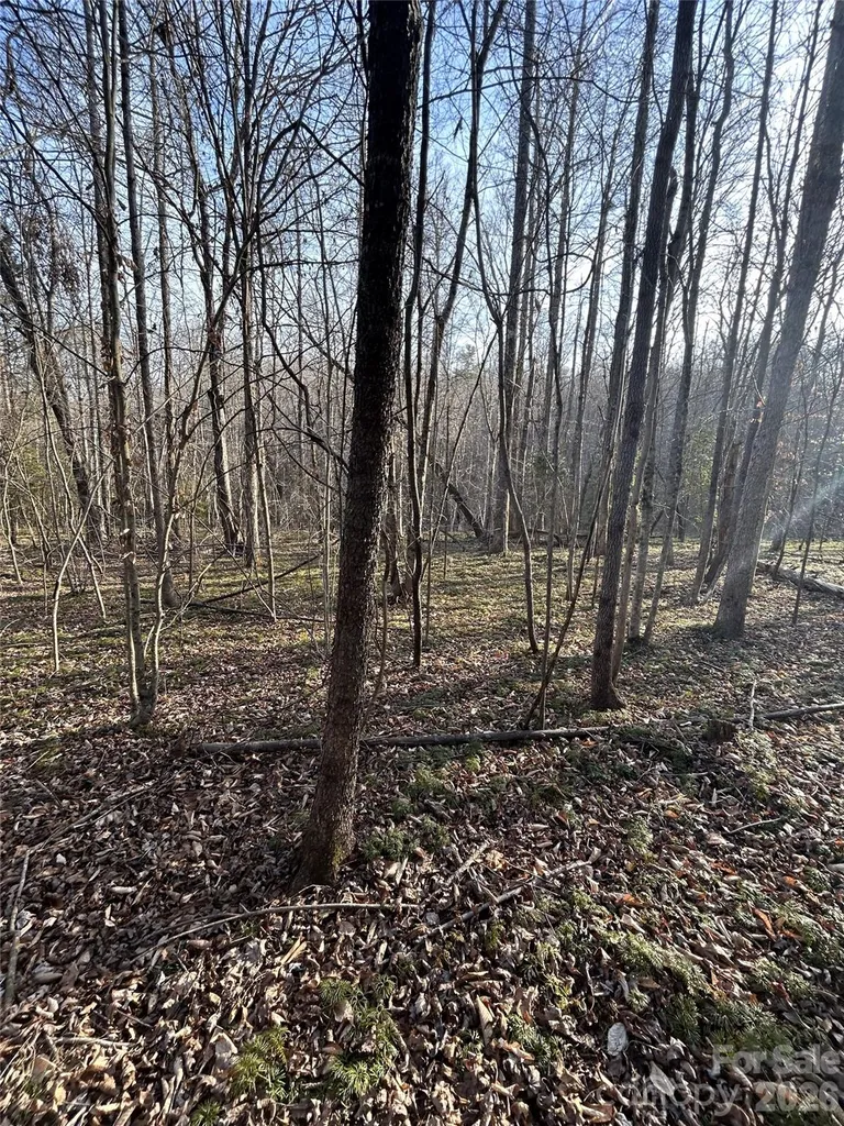 Lot 24 Double Eagle Drive Nebo NC 28761