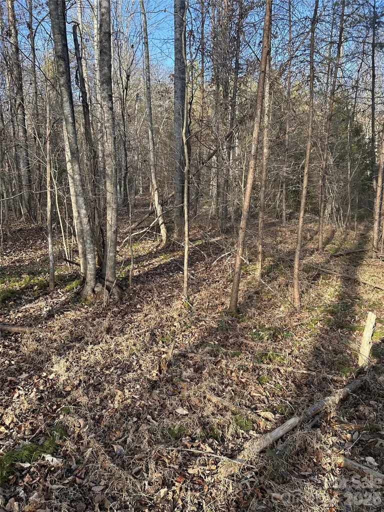 Lot 24 Double Eagle Drive Nebo NC 28761
