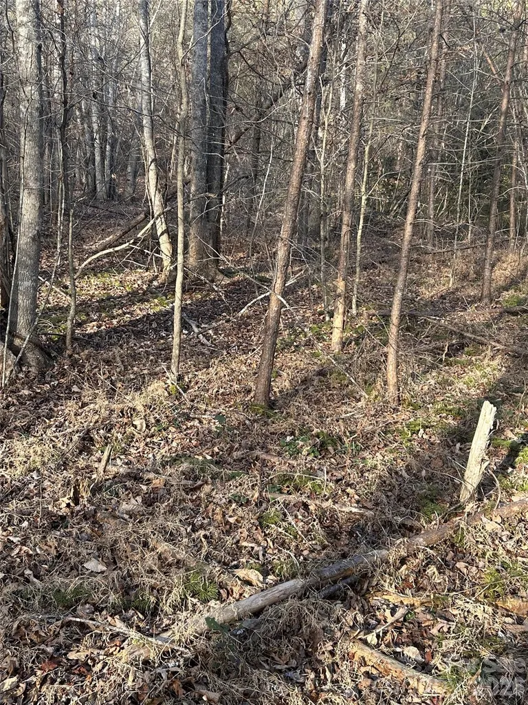 Lot 24 Double Eagle Drive Nebo NC 28761