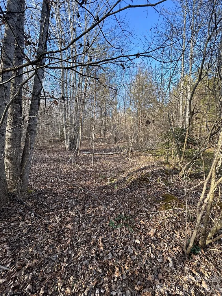Lot 24 Double Eagle Drive Nebo NC 28761