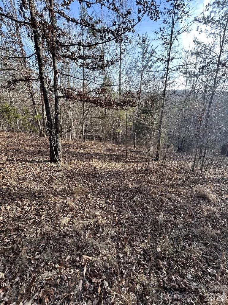 Lot 24 Double Eagle Drive Nebo NC 28761