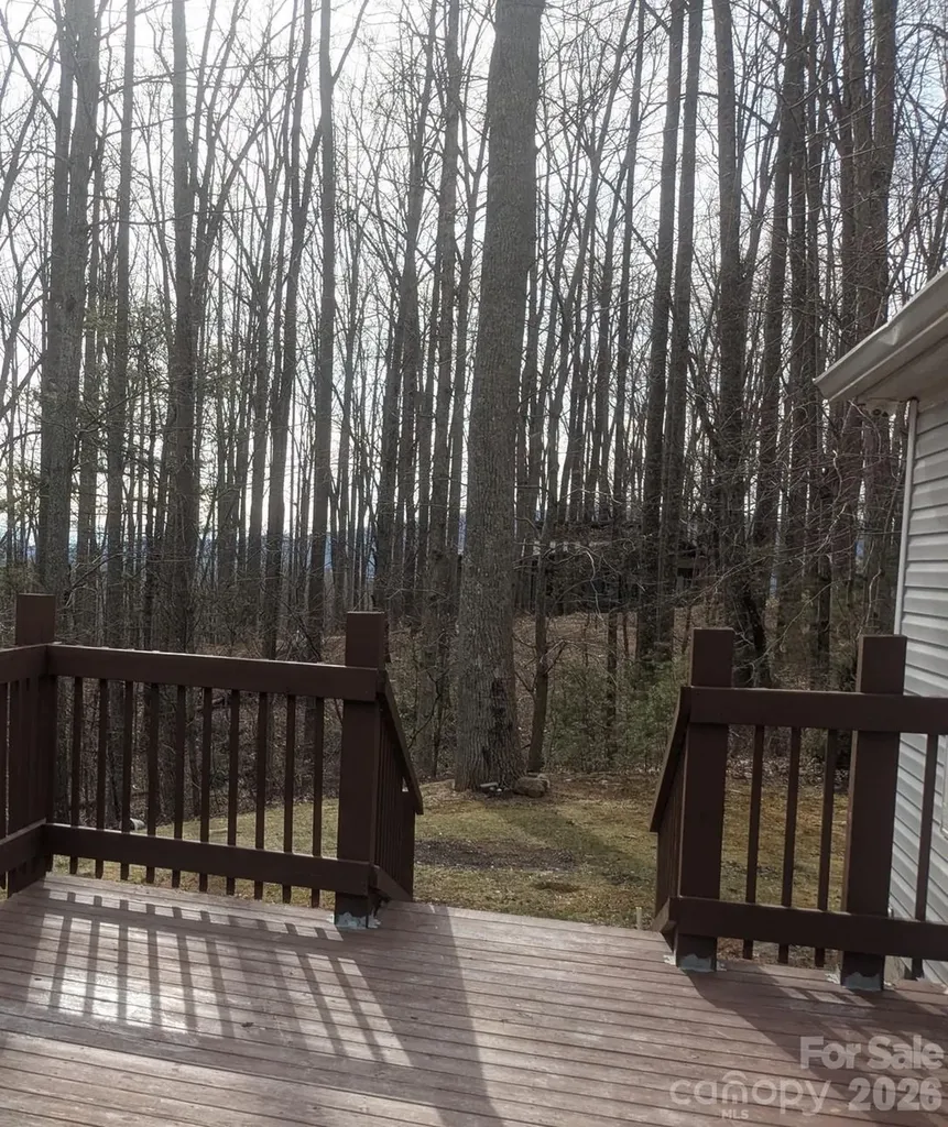 11 Gertrude Lane Candler NC 28715