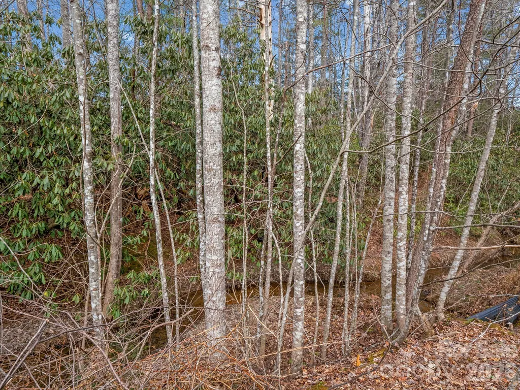 220 Jonathan Creek Drive Etowah NC 28729