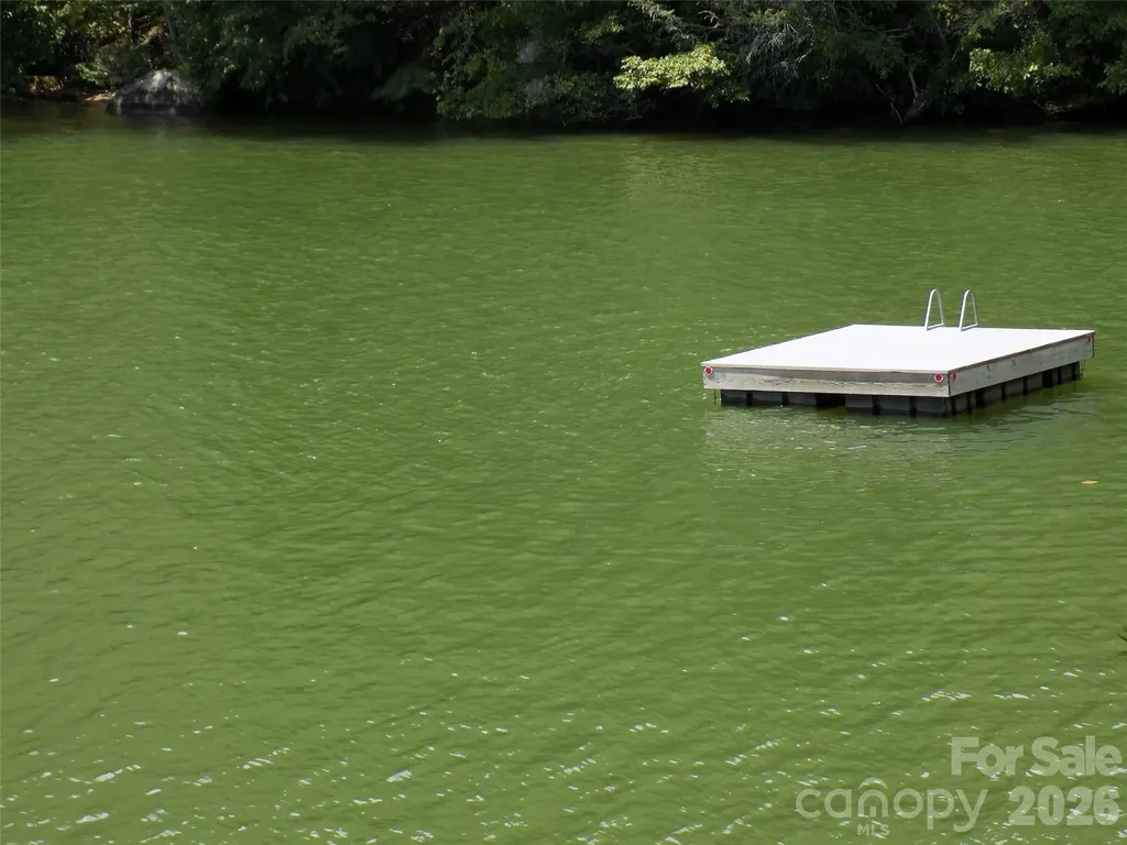 0 Falls View Trail Lake Lure NC 28746
