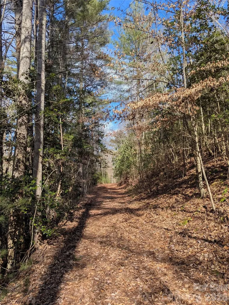 Tbd Taylorsville Road Granite Falls NC 28645