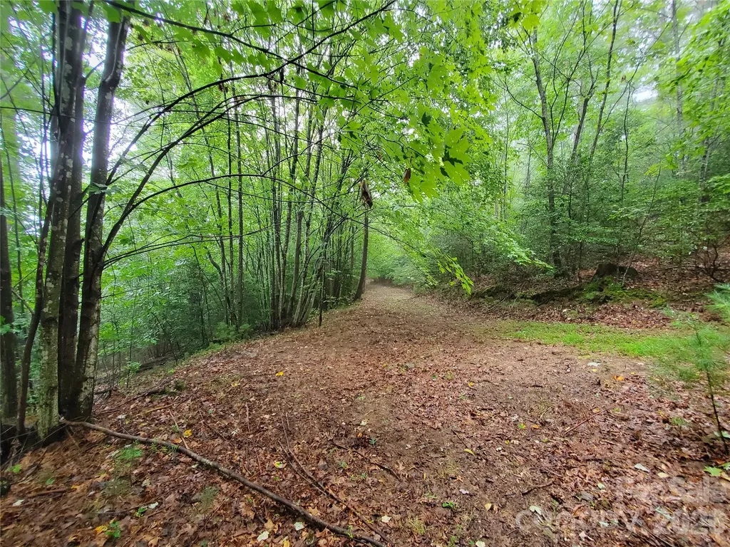 Tbd Taylorsville Road Granite Falls NC 28645