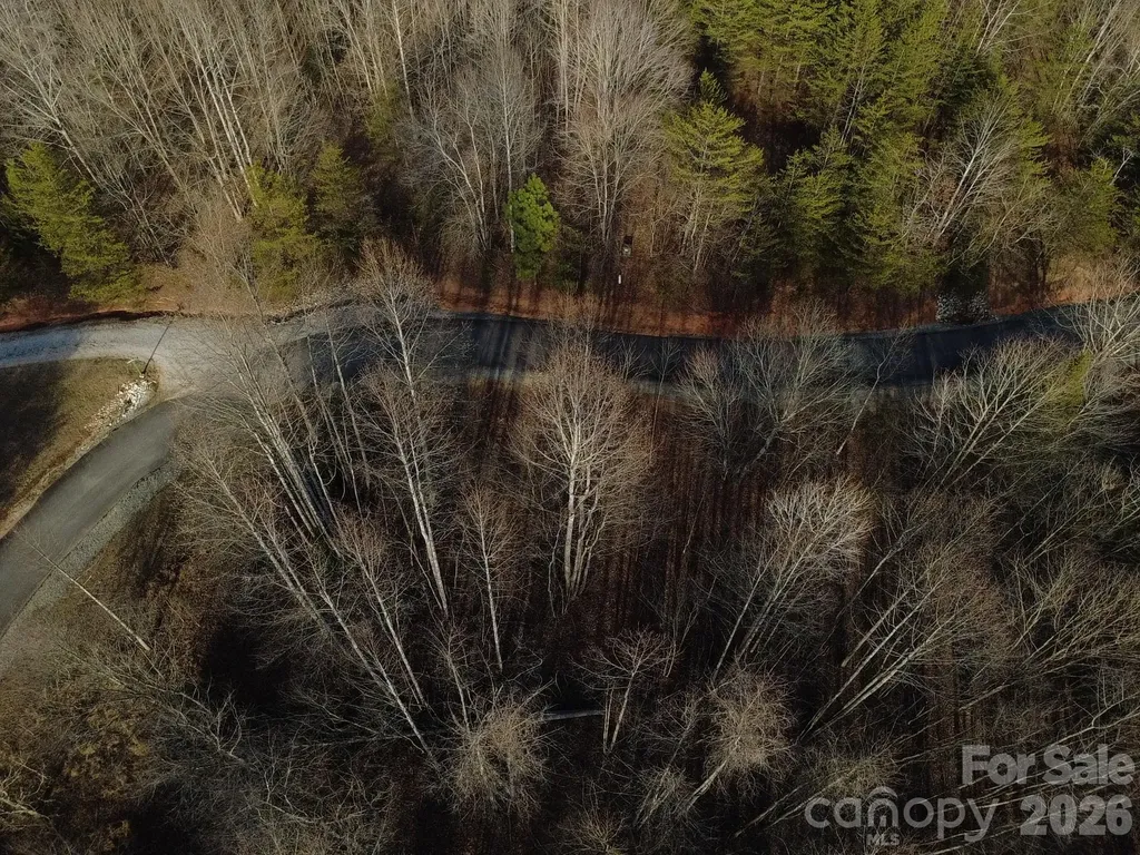 147 Double Eagle Drive Nebo NC 28761