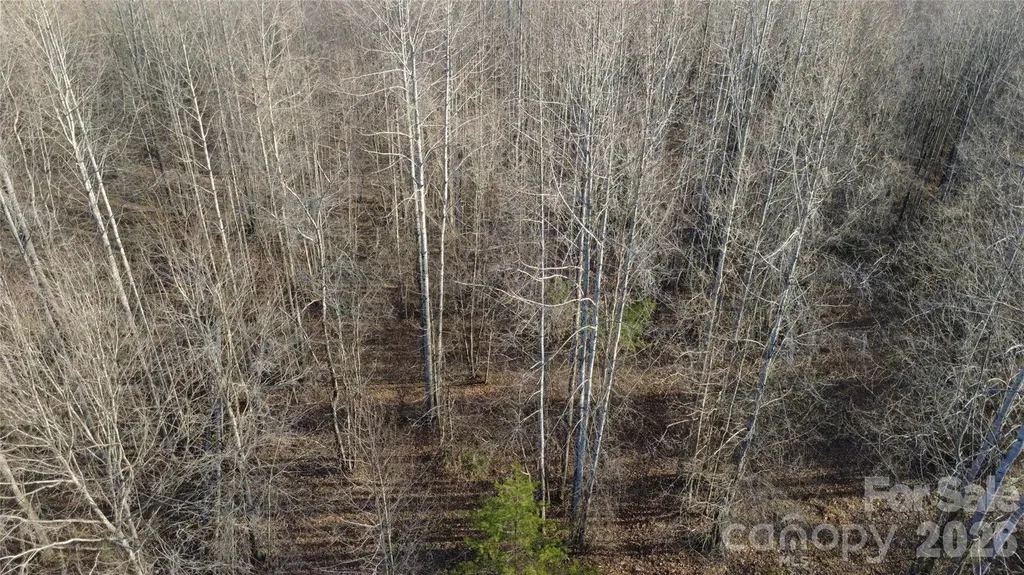 147 Double Eagle Drive Nebo NC 28761
