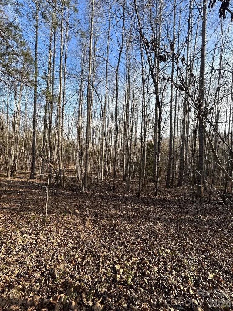 147 Double Eagle Drive Nebo NC 28761