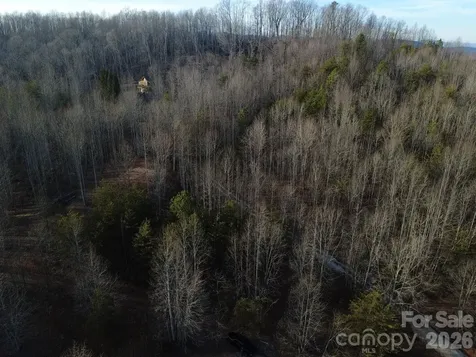147 Double Eagle Drive Nebo NC 28761
