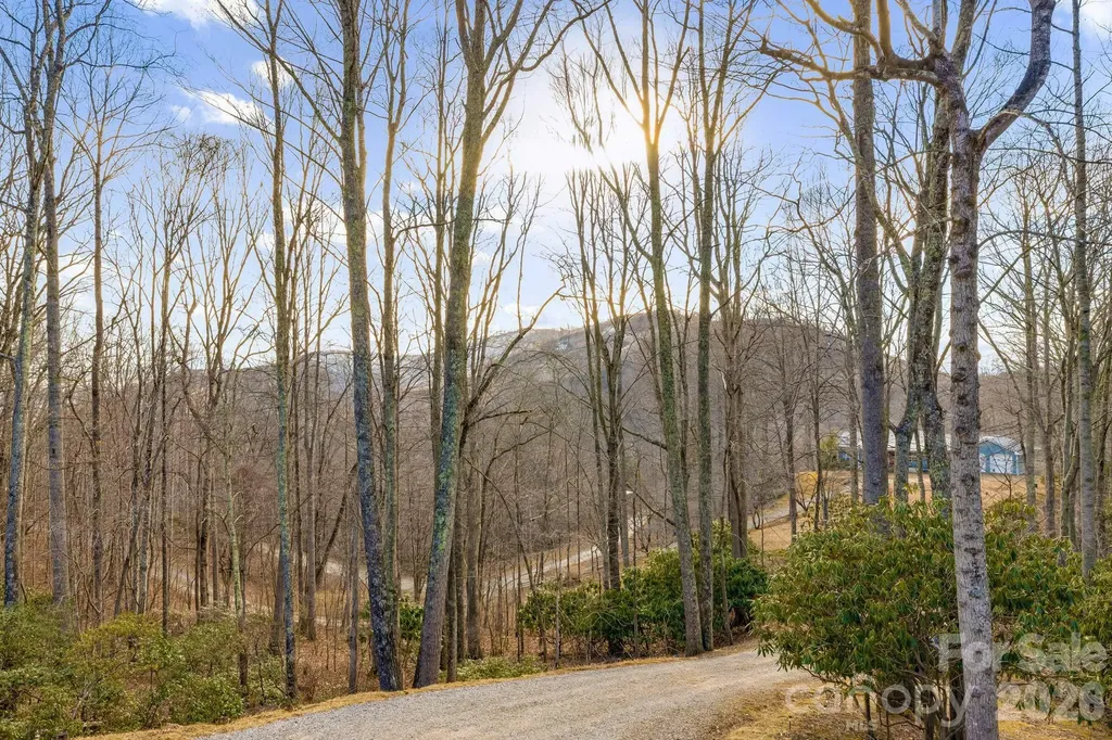 170 Wonderwood Lane Clyde NC 28721