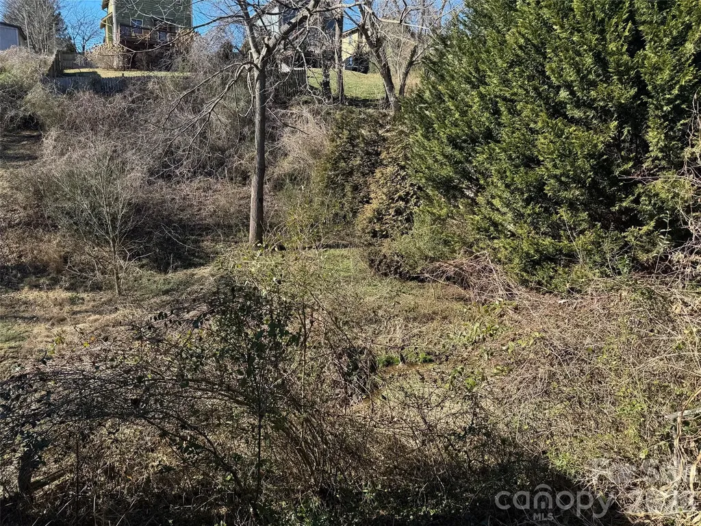 56 Moore Avenue Asheville NC 28806
