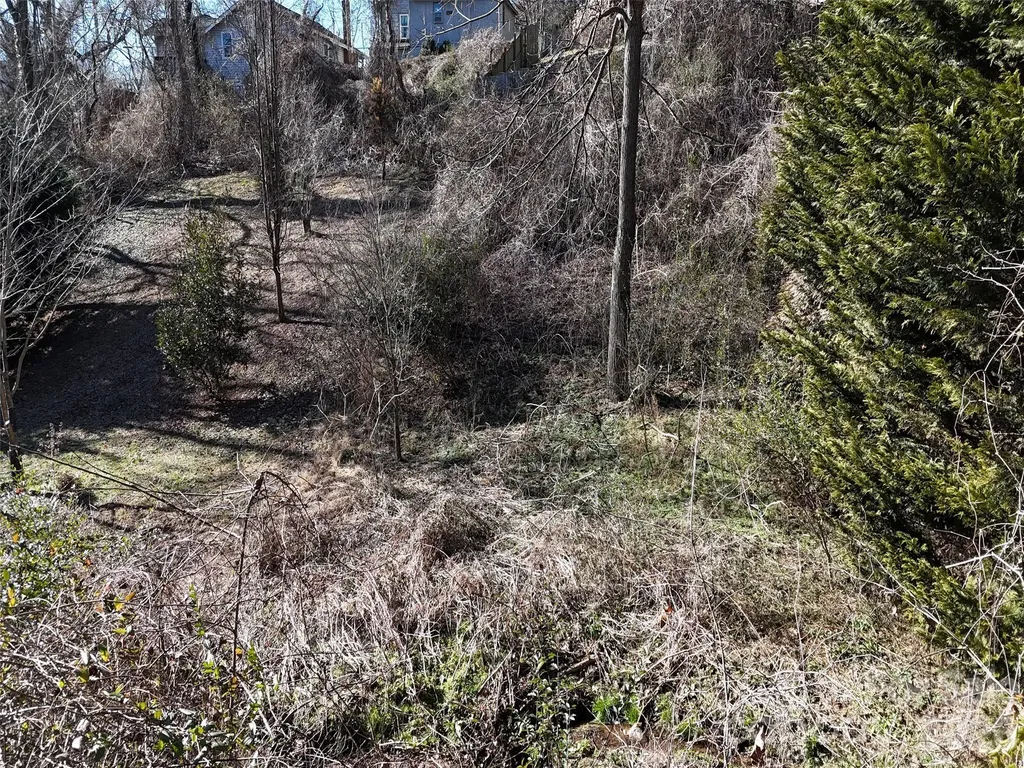 56 Moore Avenue Asheville NC 28806