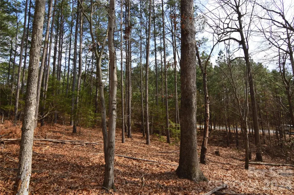 5016 Hermitage Court Belmont NC 28012