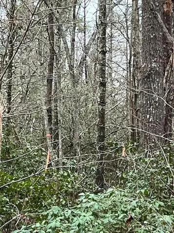 Tbd Quiet Creek Lane Collettsville NC 28611