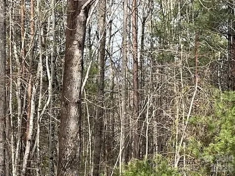 3645 Blue Door School Road Lenoir NC 28645