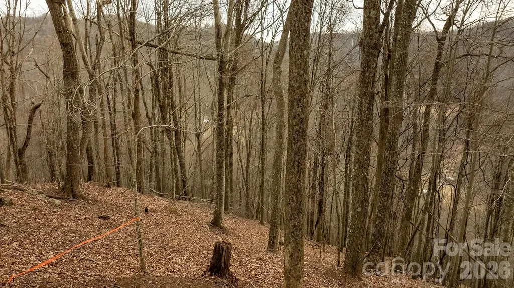 0000 Devils Knob Road Mars Hill NC 28754