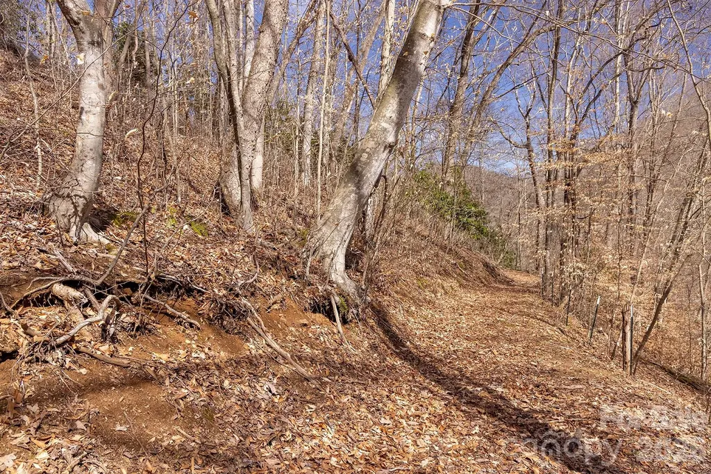 0000 Devils Knob Road Mars Hill NC 28754