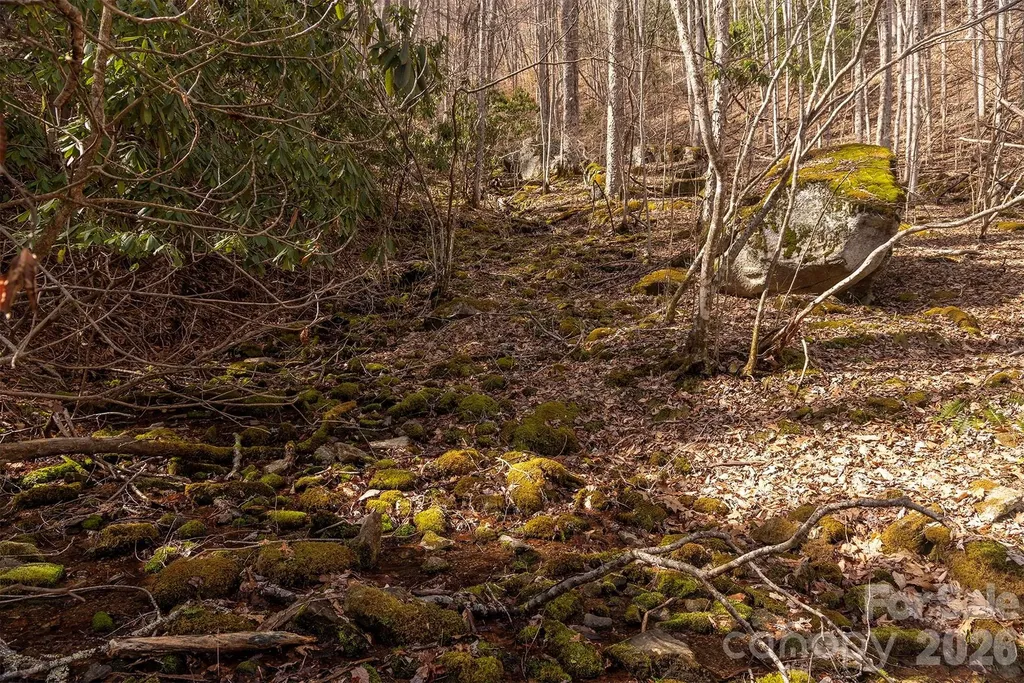 0000 Devils Knob Road Mars Hill NC 28754