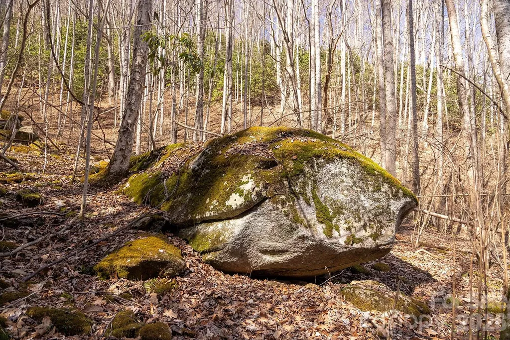 0000 Devils Knob Road Mars Hill NC 28754