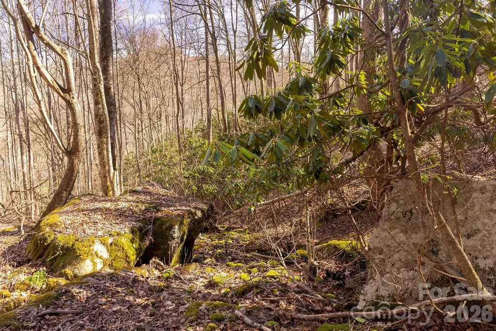 0000 Devils Knob Road Mars Hill NC 28754