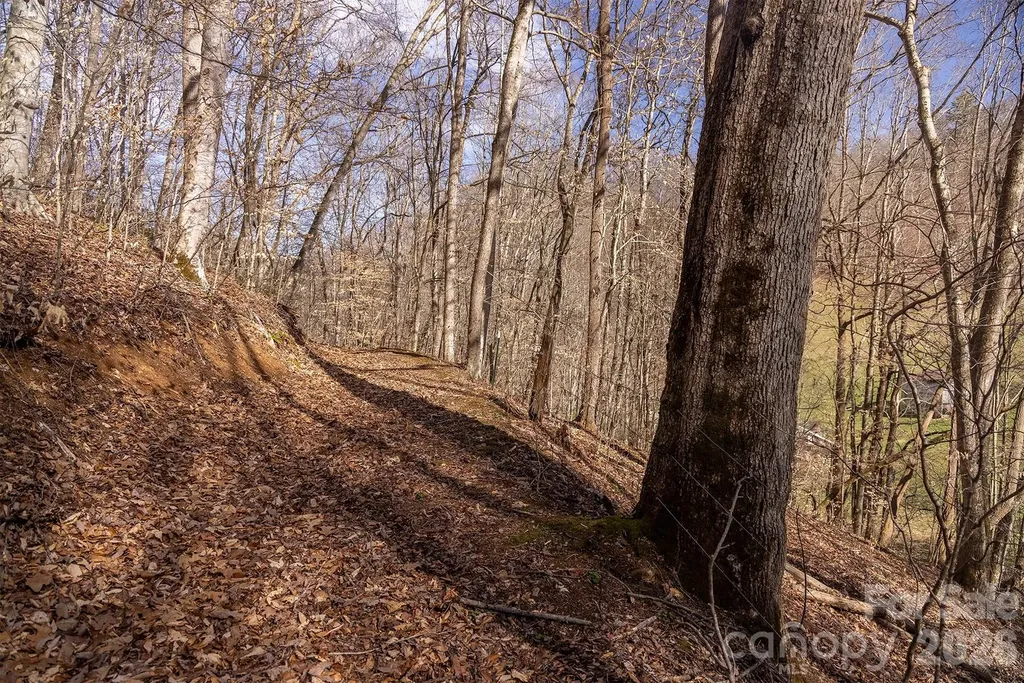 0000 Devils Knob Road Mars Hill NC 28754