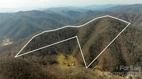 0000 Devils Knob Road Mars Hill NC 28754