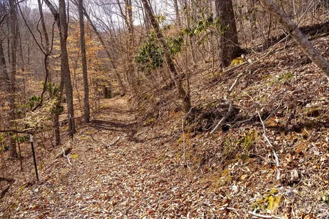0000 Devils Knob Road Mars Hill NC 28754