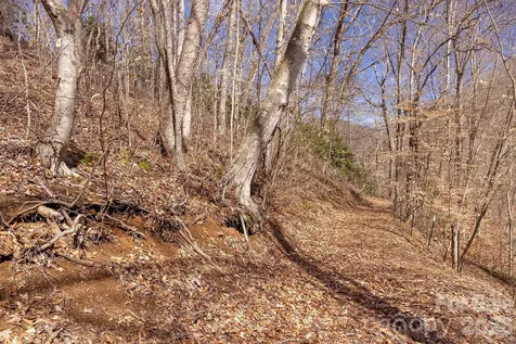 0000 Devils Knob Road Mars Hill NC 28754