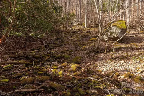 0000 Devils Knob Road Mars Hill NC 28754