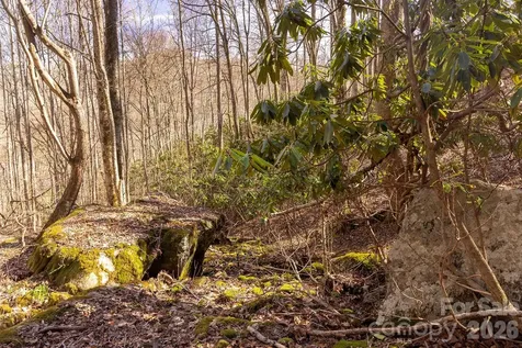 0000 Devils Knob Road Mars Hill NC 28754